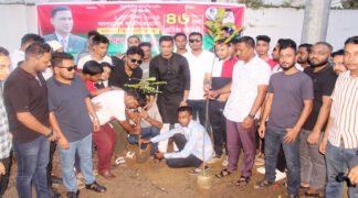 বিএনপির প্রতিষ্ঠাবার্ষিকিতে সিলেটে ছাত্রদলের বৃক্ষরোপণ