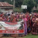 ঐতিহাসিক ২০ মে’কে ‘চা শ্রমিক দিবস’ ঘোষণার দাবি