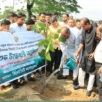 সিসিক এলাকায় ৫০ হাজার বৃক্ষরোপণের উদ্যোগ, উদ্বোধন করলেন প্রশাসক